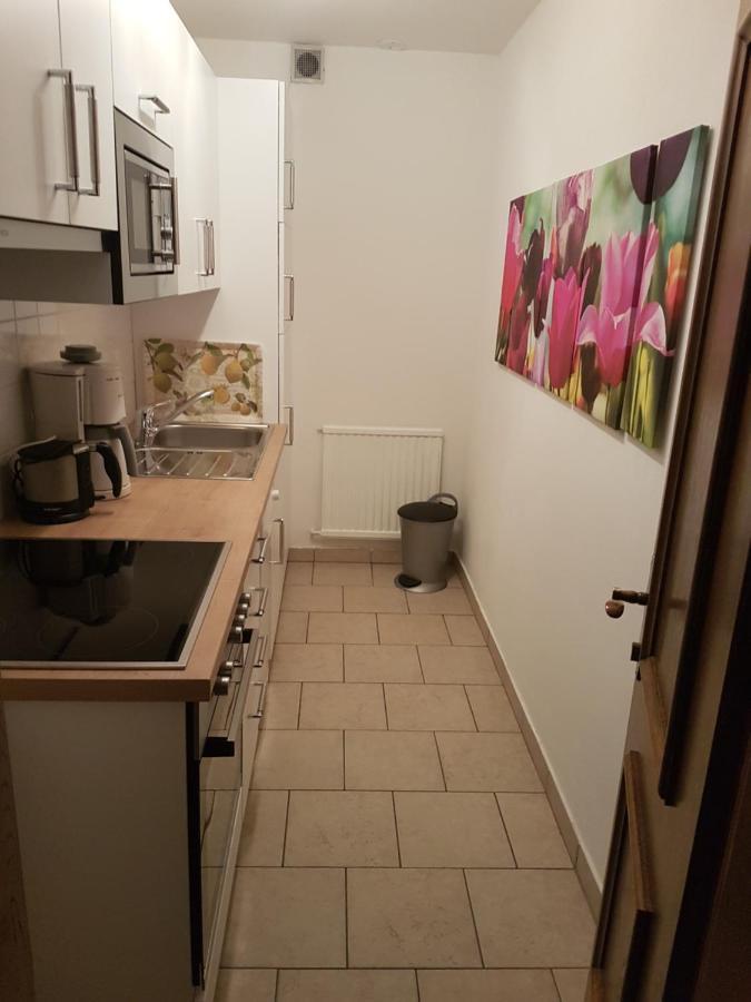 Apartments Spiegl Holzmann Bischofshofen Εξωτερικό φωτογραφία
