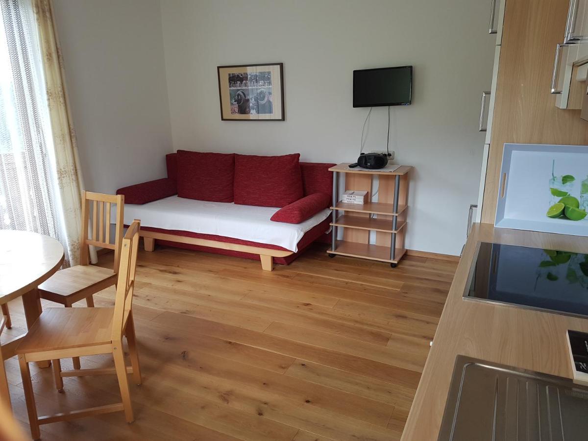 Apartments Spiegl Holzmann Bischofshofen Εξωτερικό φωτογραφία